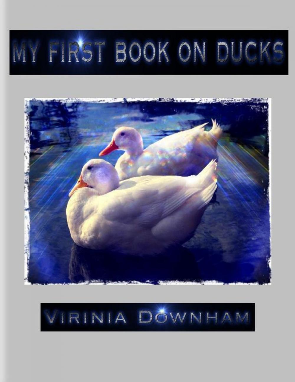 Big bigCover of My First Book on Ducks