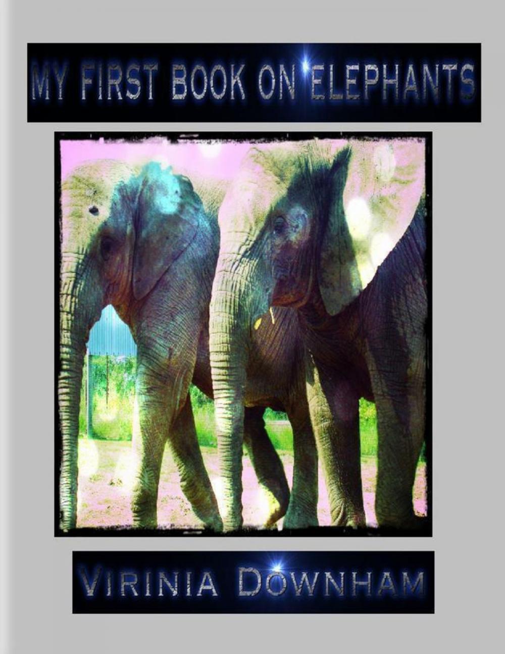 Big bigCover of My First Book on Elephants