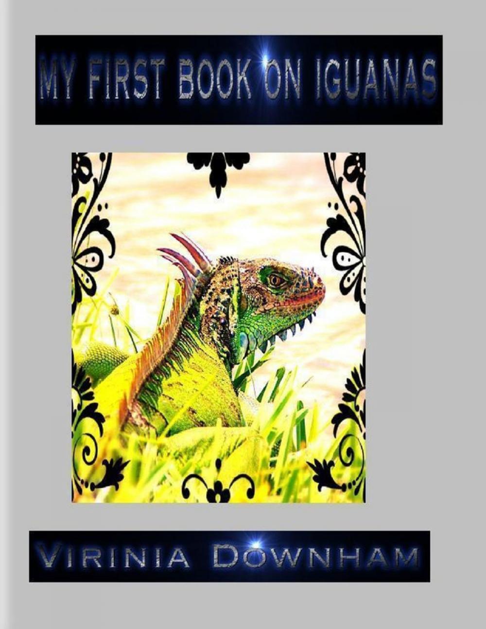 Big bigCover of My First Book on Iguanas