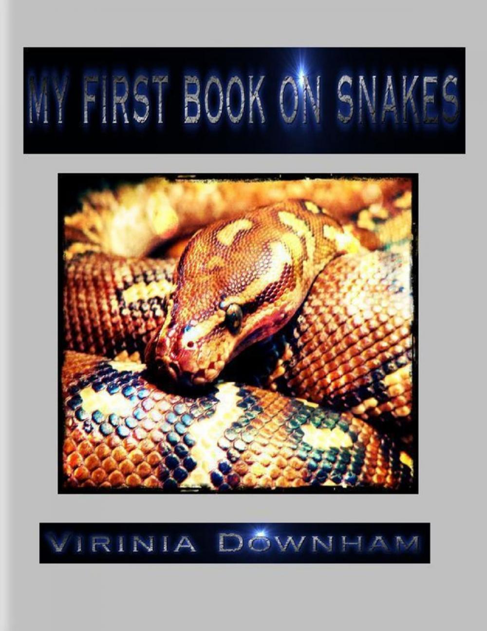 Big bigCover of My First Book on Snakes