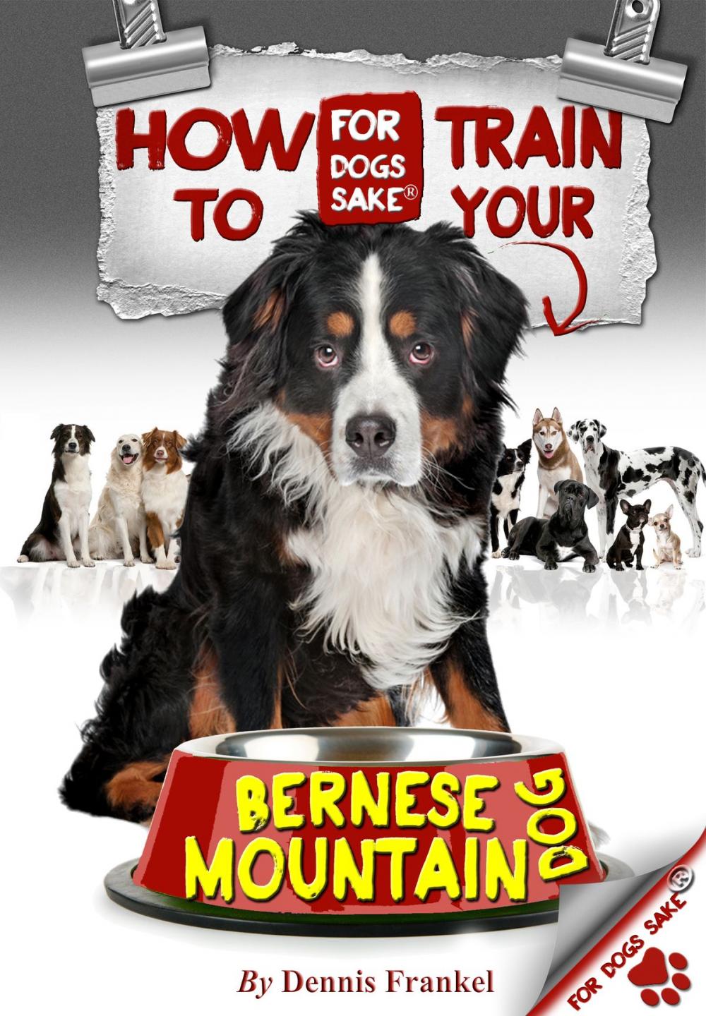 Big bigCover of How to Train Your Bernese Mountain Dogs