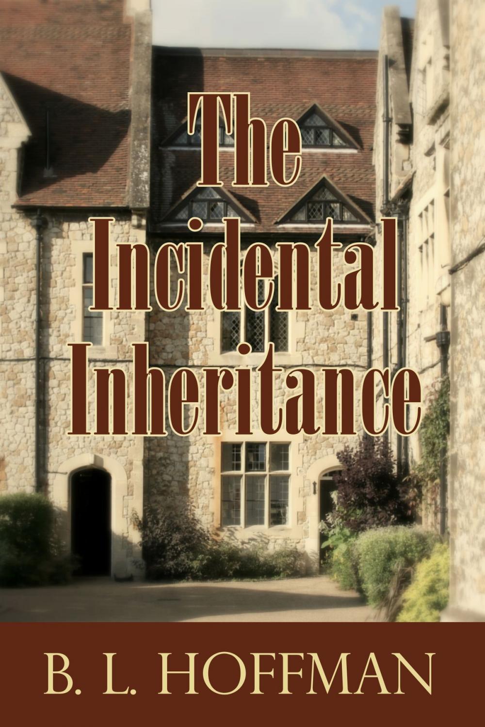 Big bigCover of The Incidental Inheritance