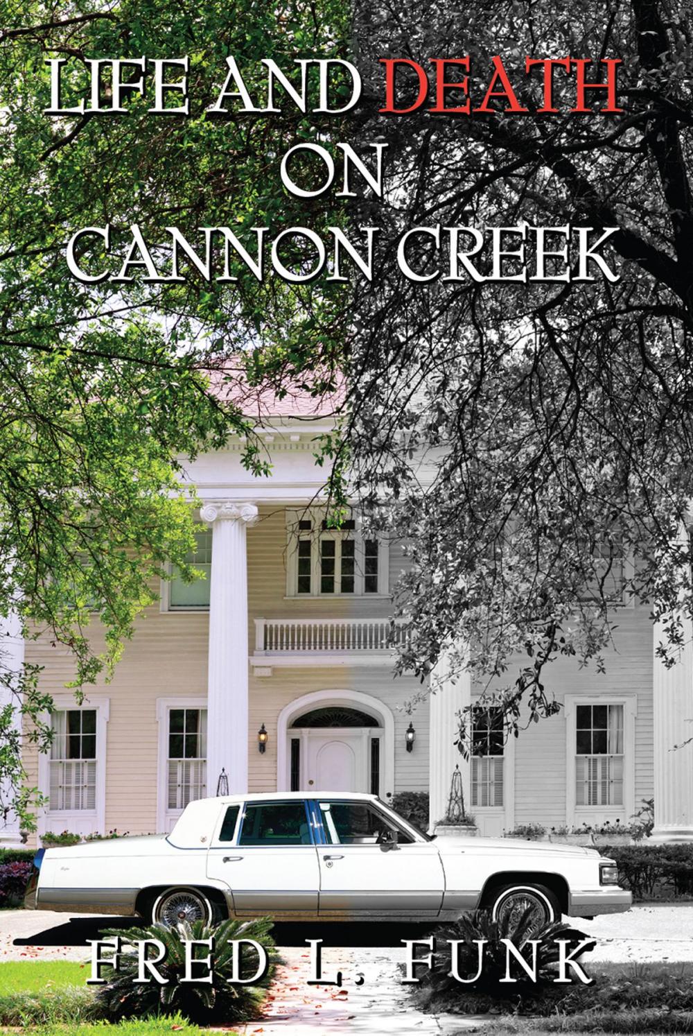 Big bigCover of Life and Death on Cannon Creek