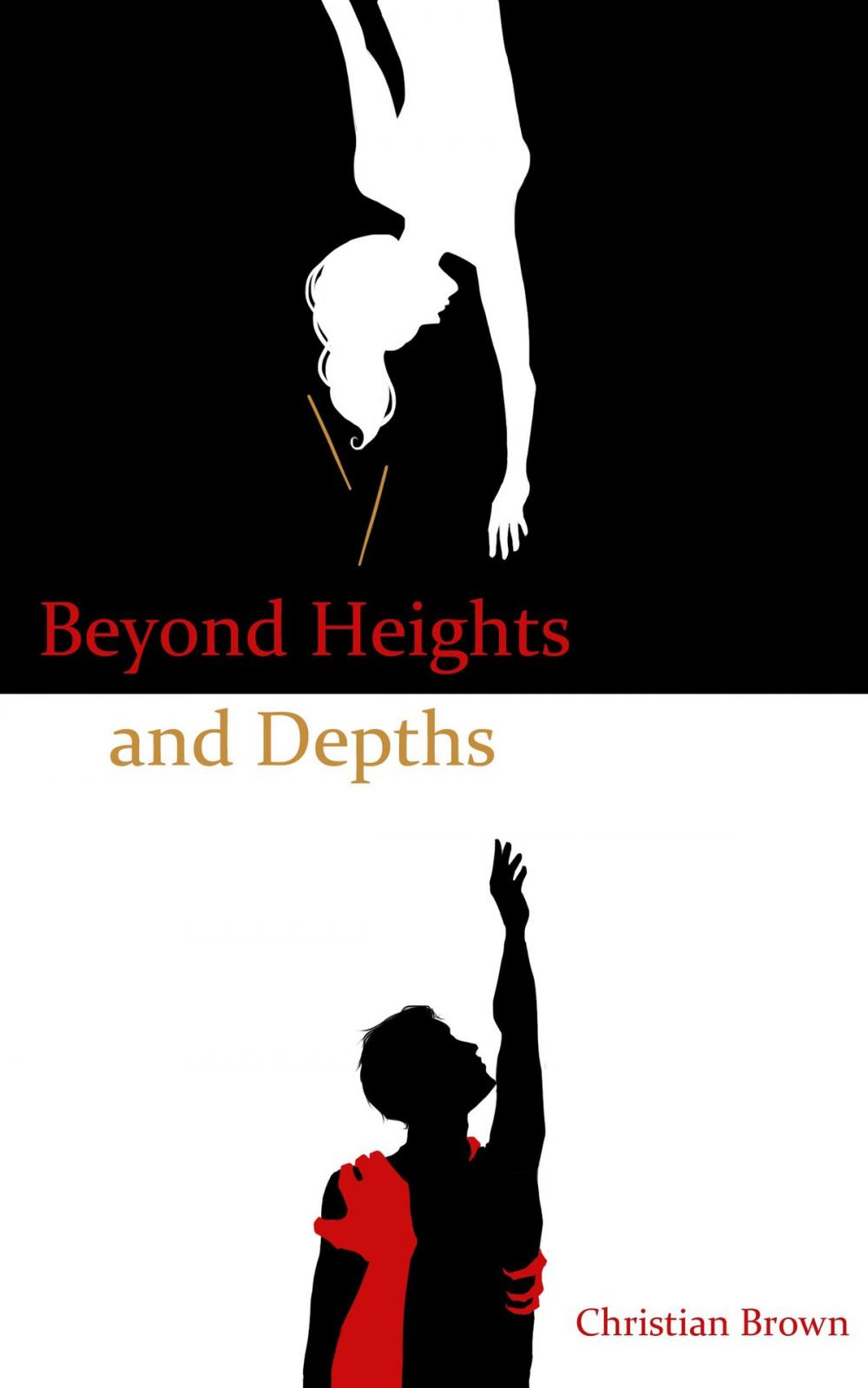 Big bigCover of Beyond Heights and Depths