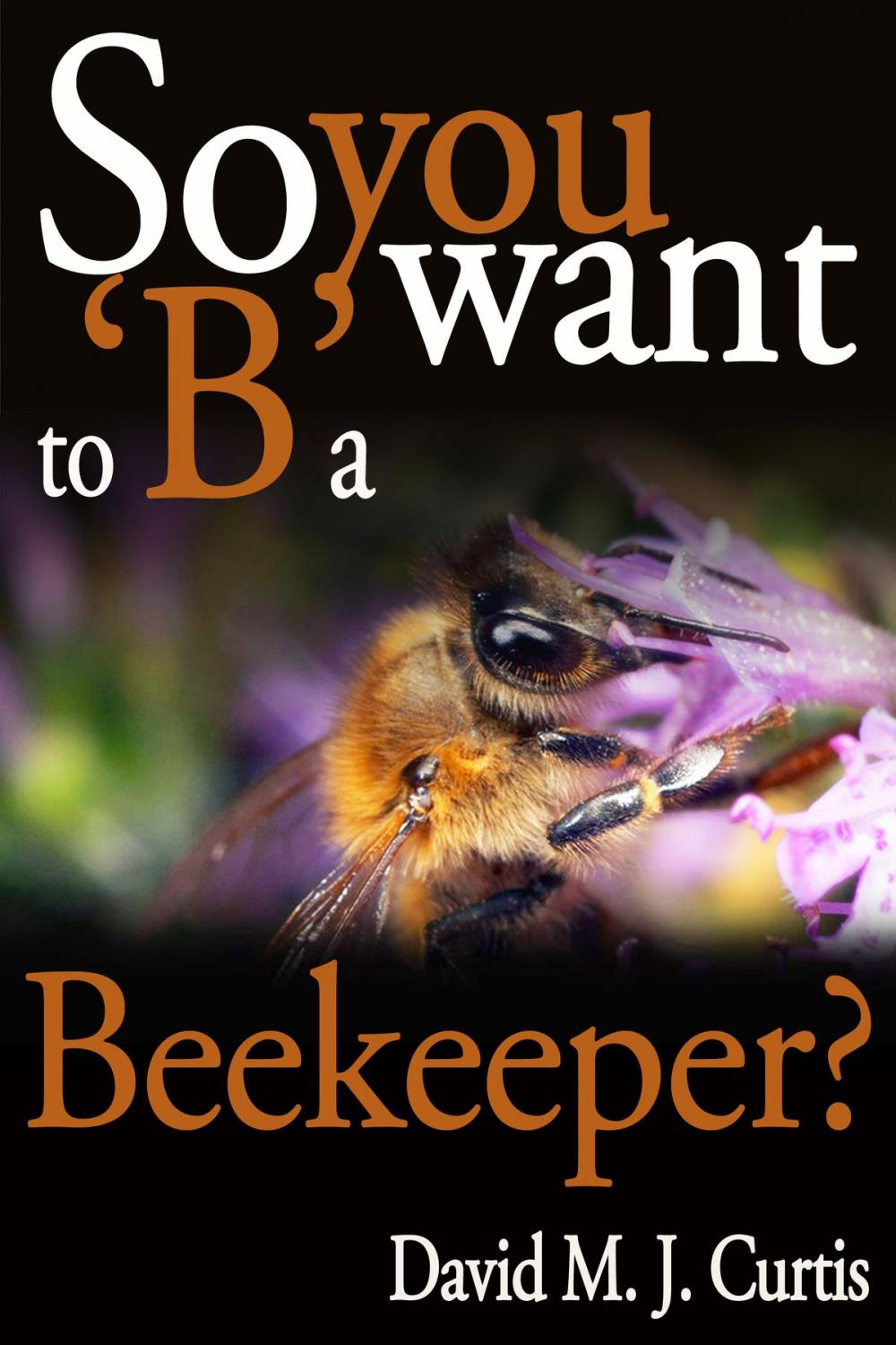 Big bigCover of So you want to 'B' a Beekeeper?