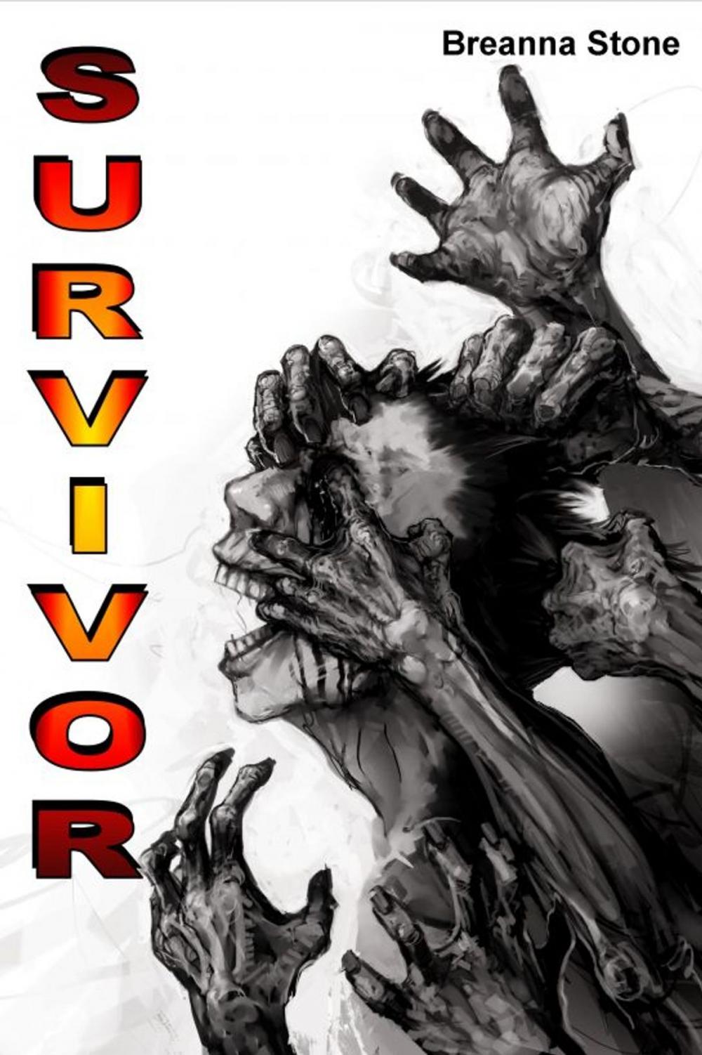 Big bigCover of Survivor