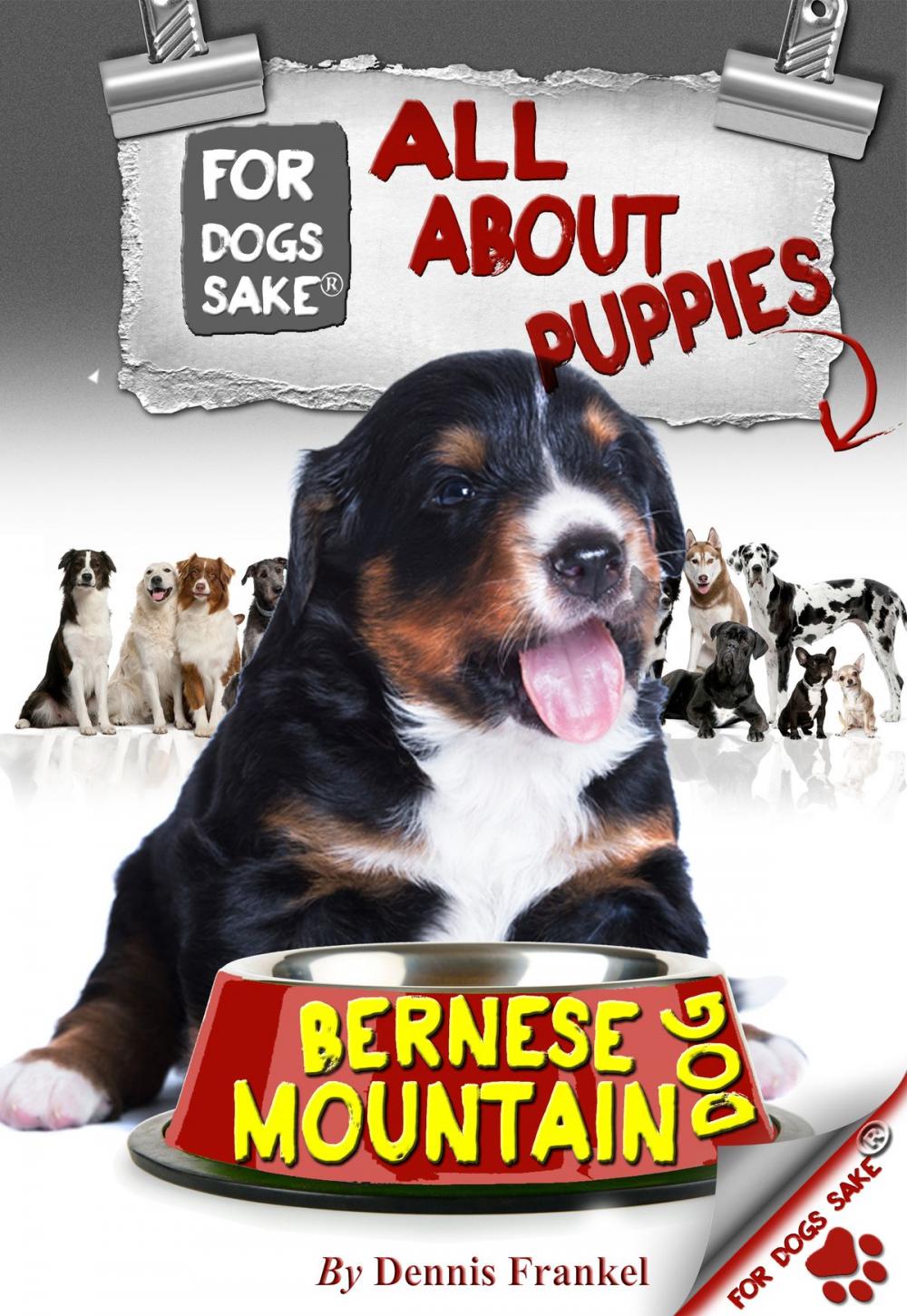 Big bigCover of All About Bernese Mountain Dog Puppies