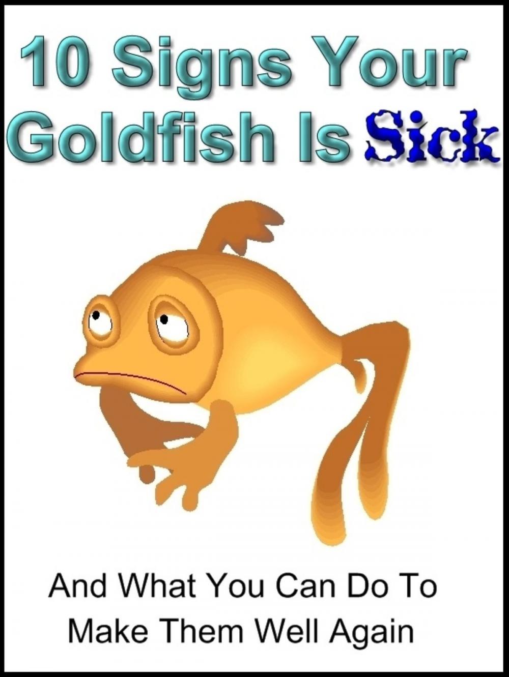 Big bigCover of 10 Signs Your Goldfish Is Sick