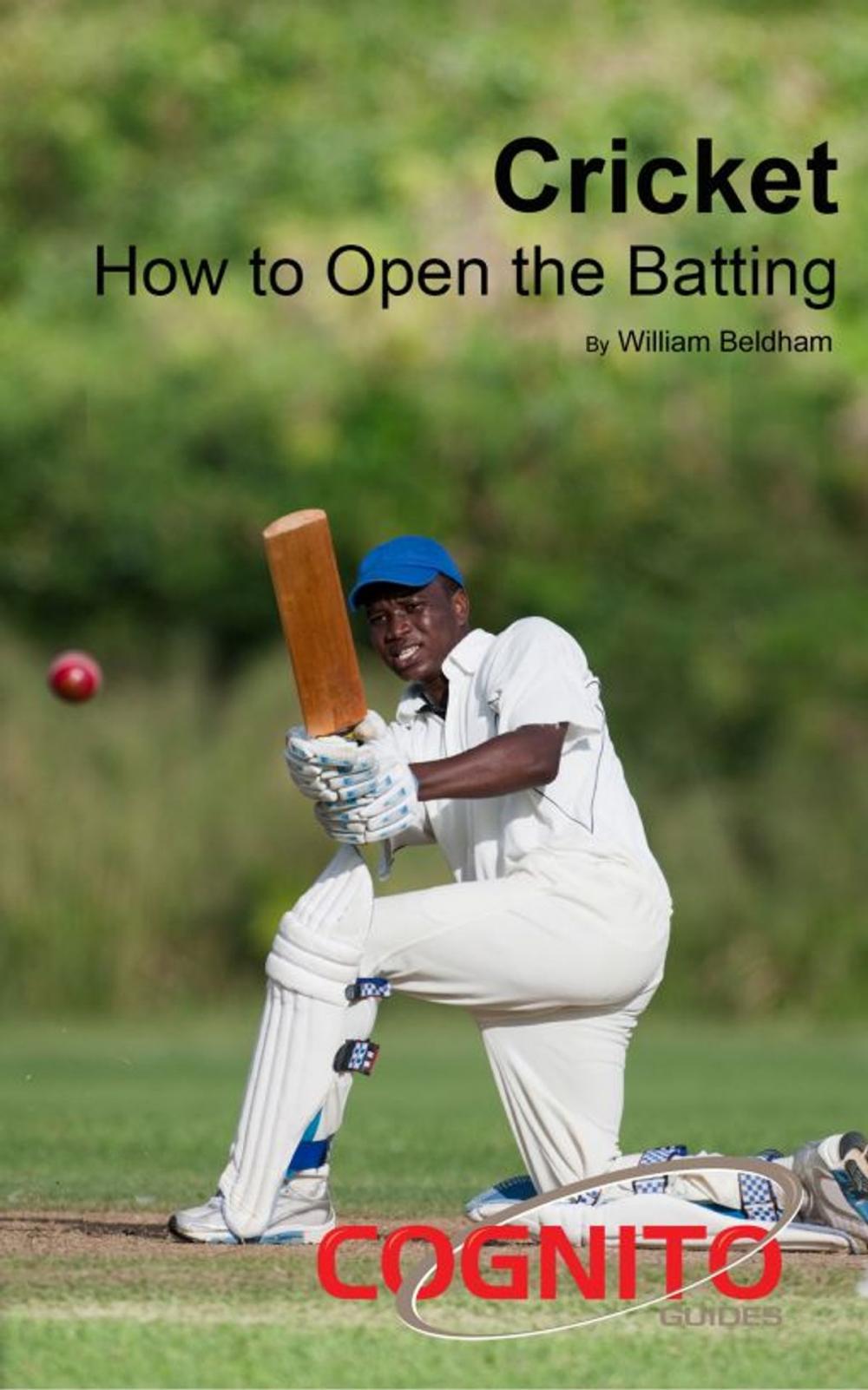 Big bigCover of Cricket: How to Open the Batting