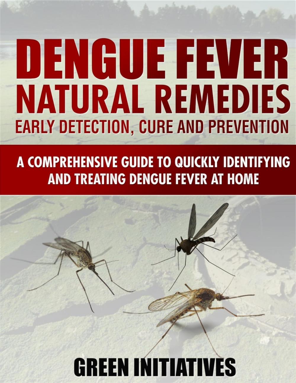 Big bigCover of Dengue Fever Natural Remedies: Comprehensive Guide to Identifying and Treating Dengue Fever at Home