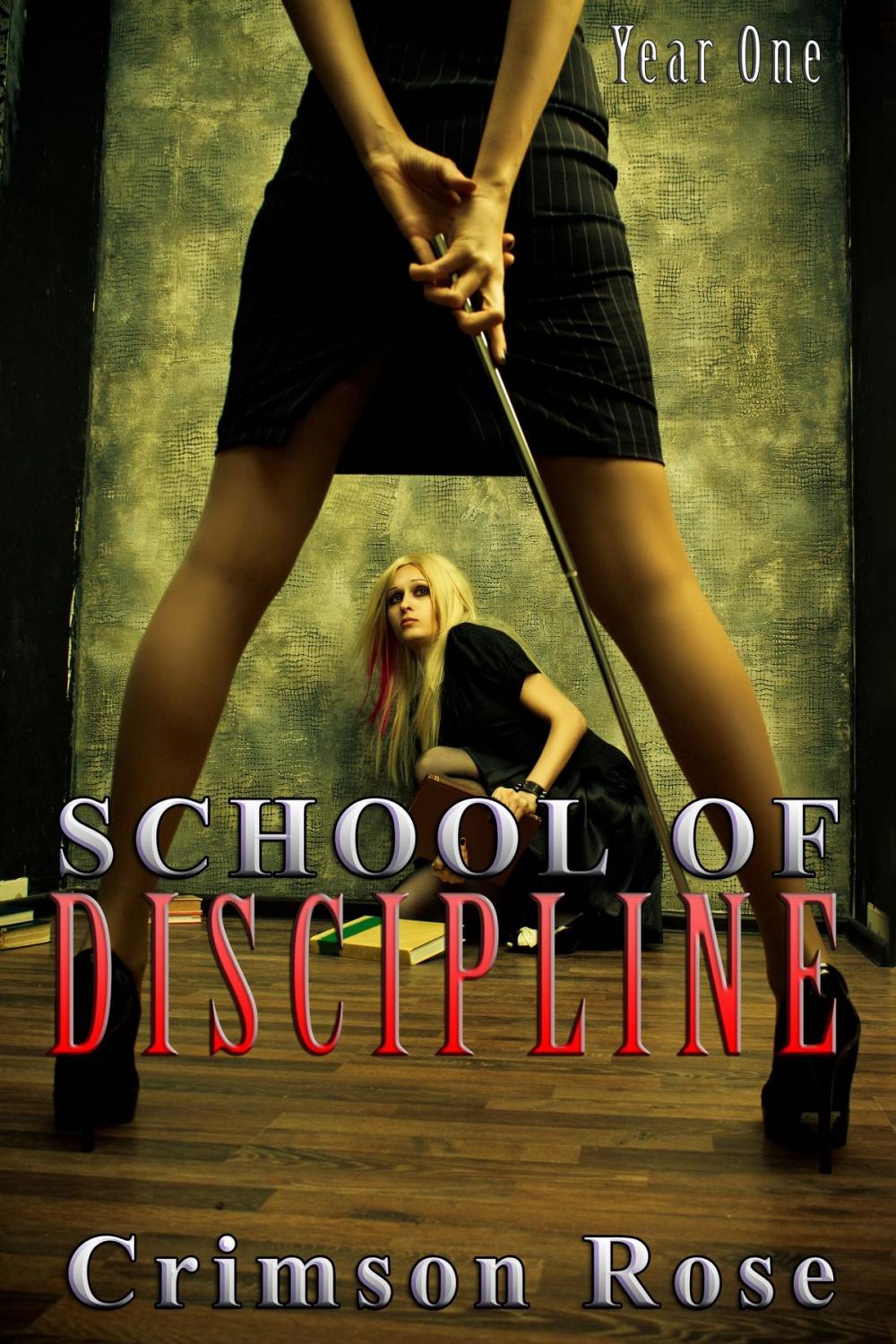 Big bigCover of School of Discipline: Year One