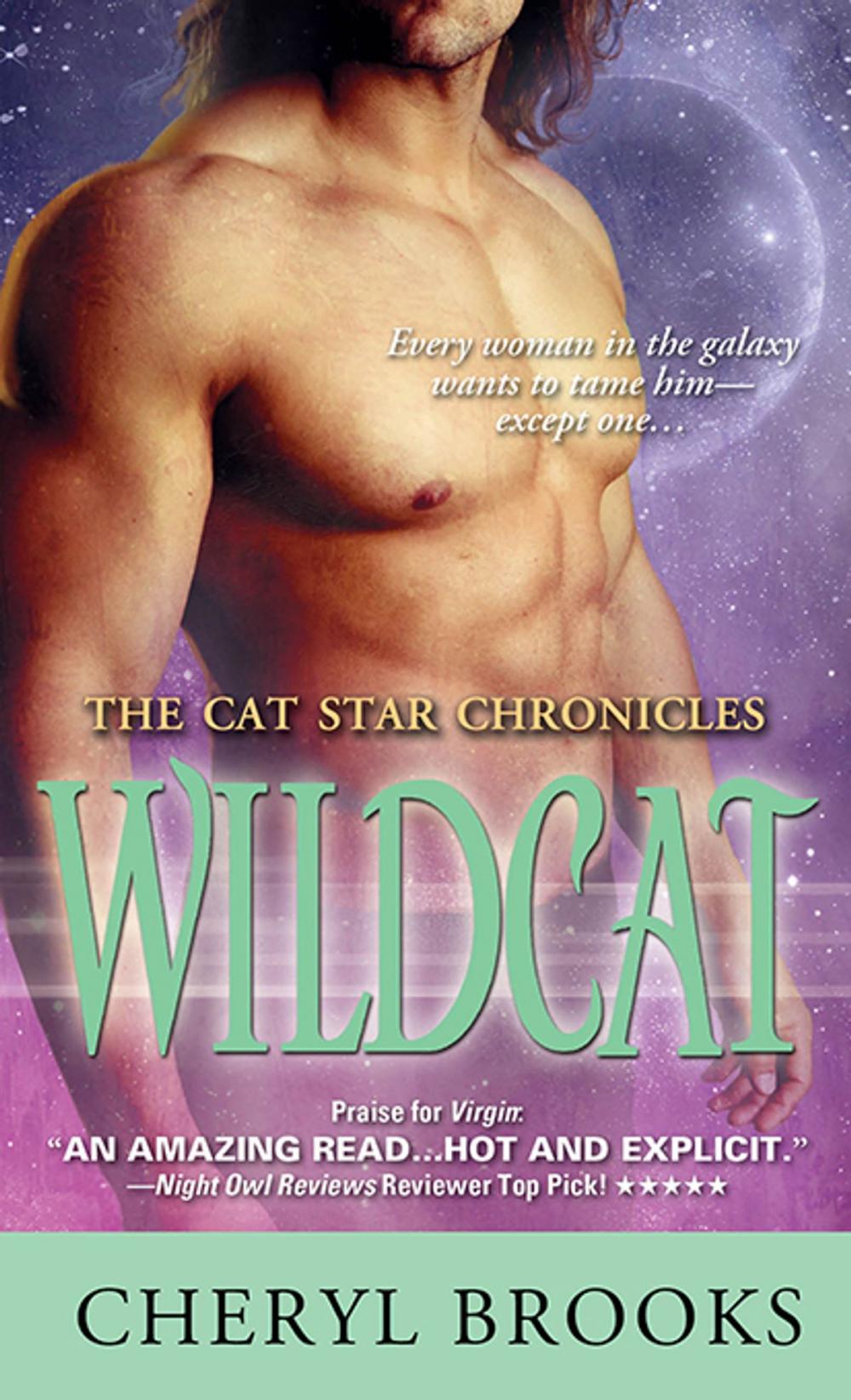 Big bigCover of Wildcat