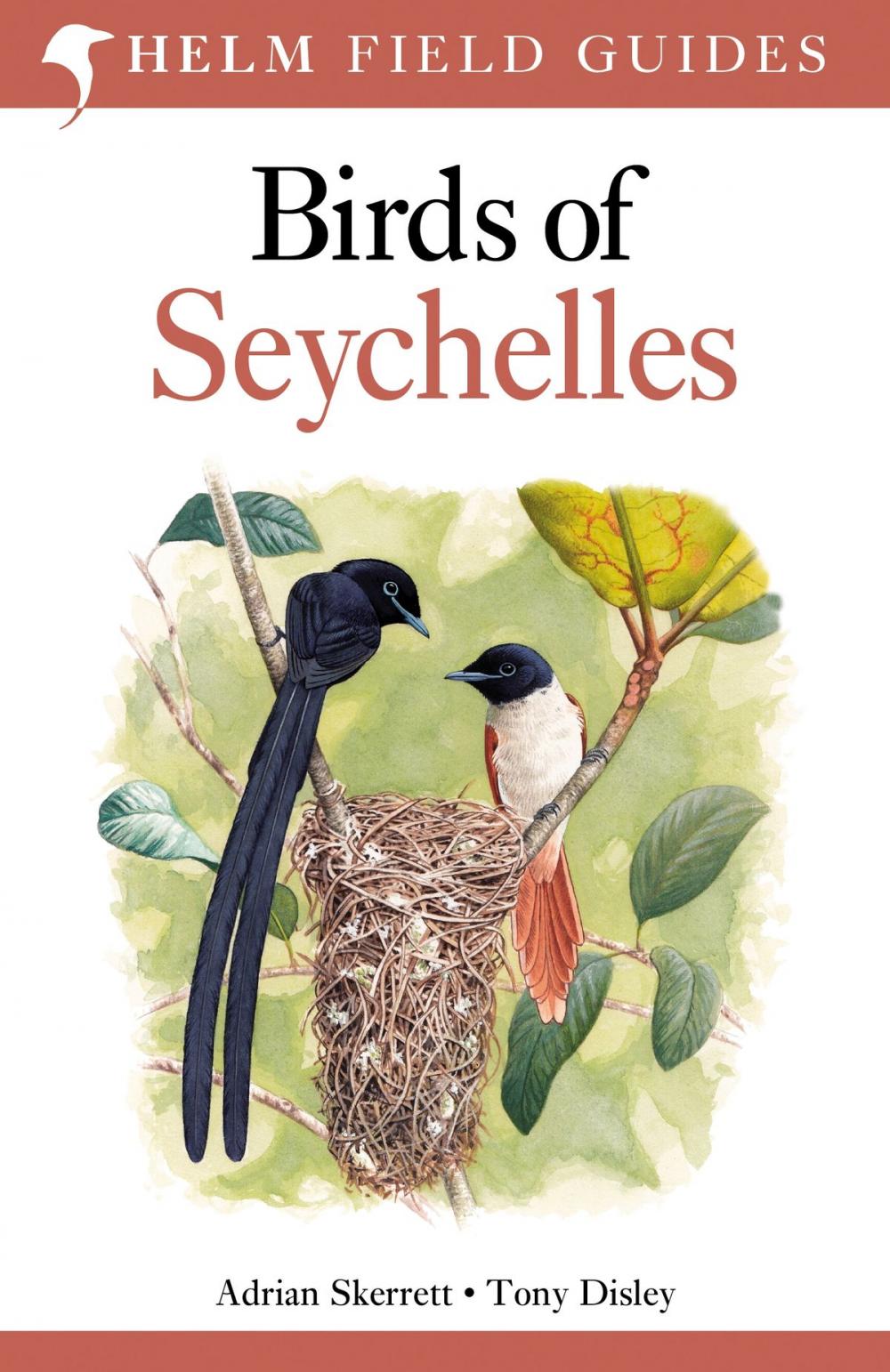 Big bigCover of Birds of Seychelles