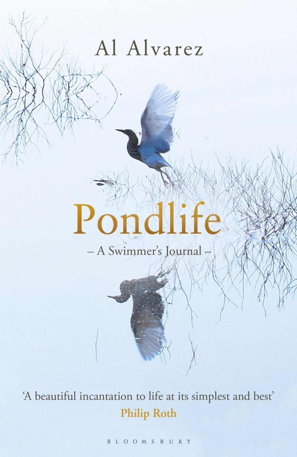 Big bigCover of Pondlife