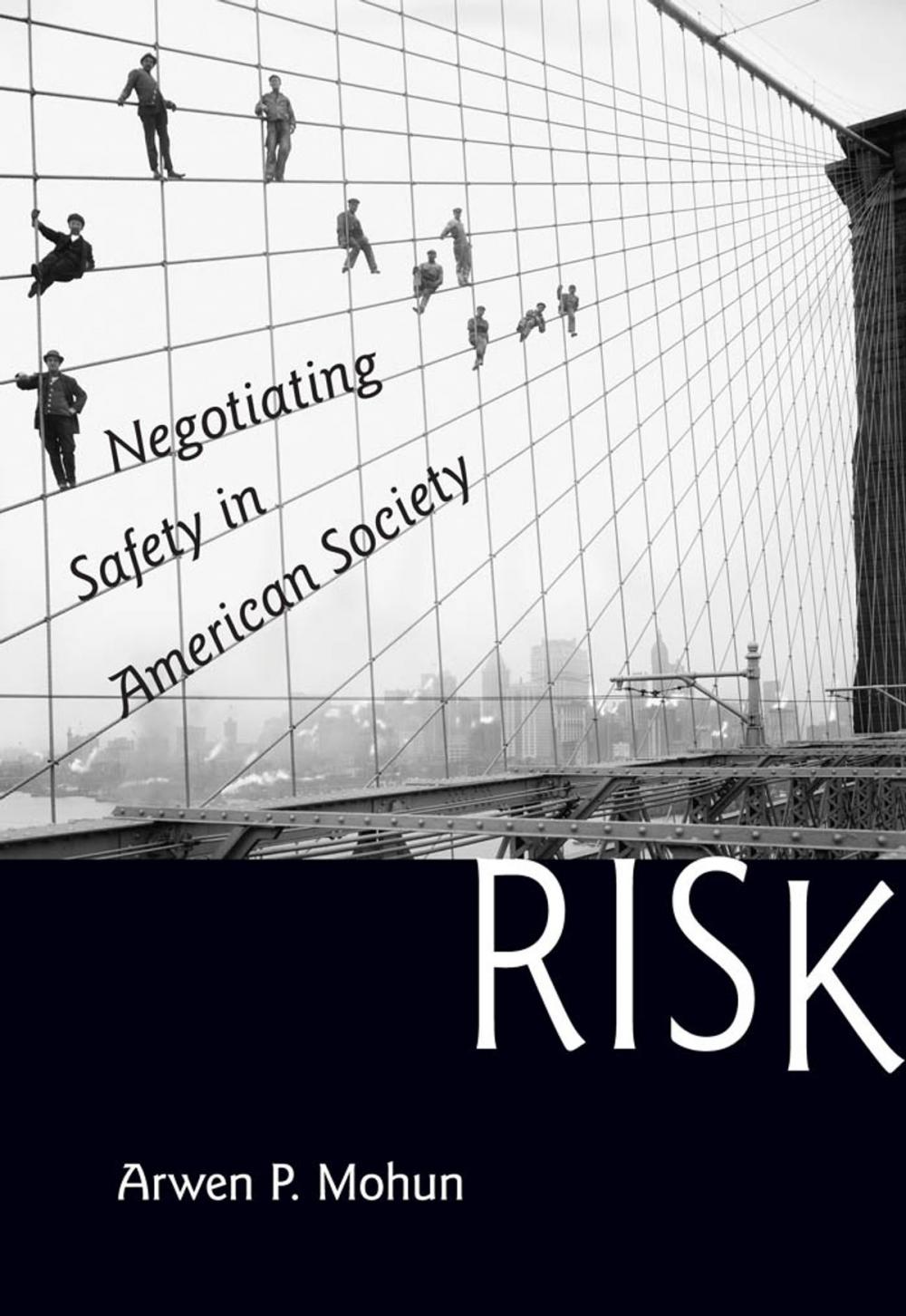 Big bigCover of Risk