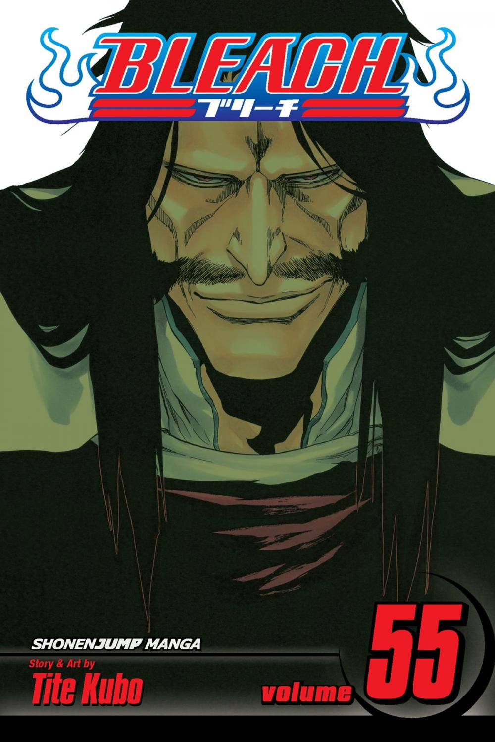 Big bigCover of Bleach, Vol. 55