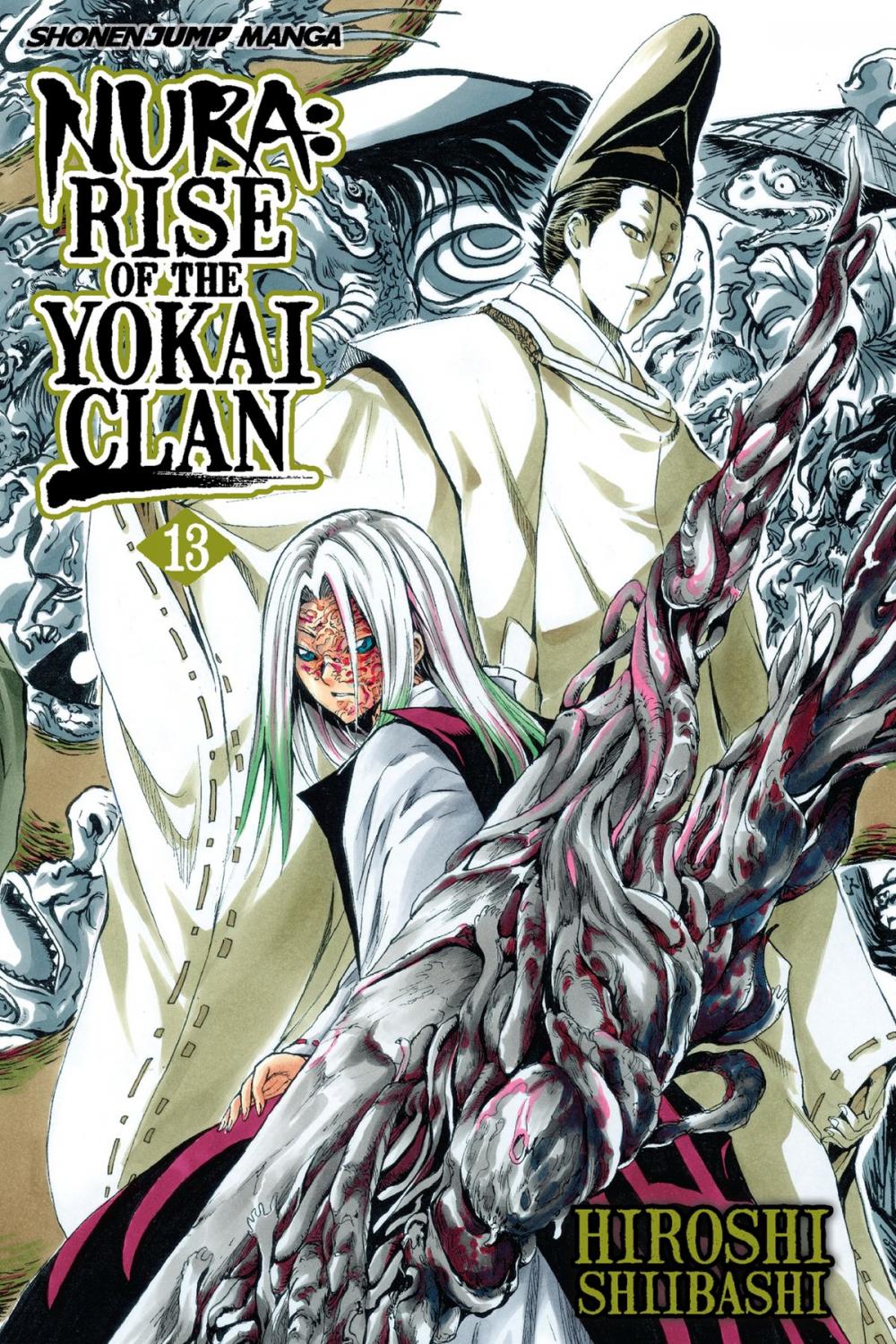 Big bigCover of Nura: Rise of the Yokai Clan, Vol. 13