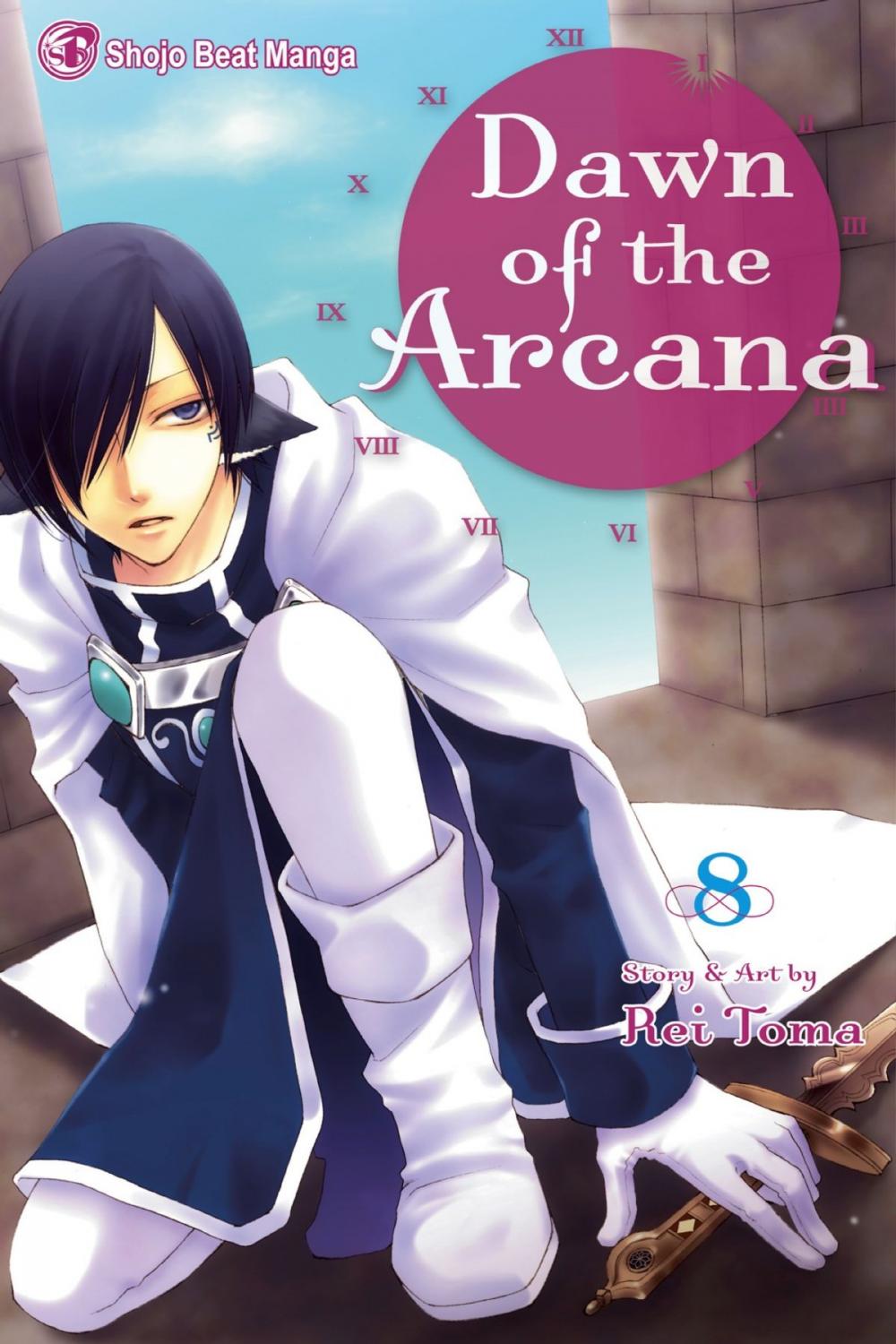 Big bigCover of Dawn of the Arcana, Vol. 8