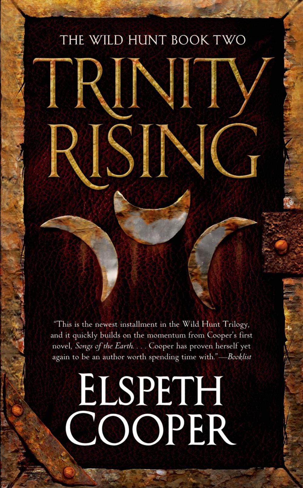 Big bigCover of Trinity Rising