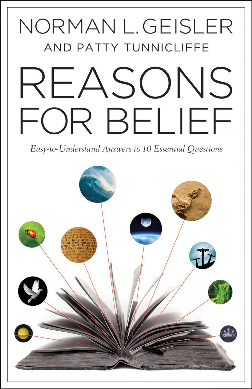 Big bigCover of Reasons for Belief