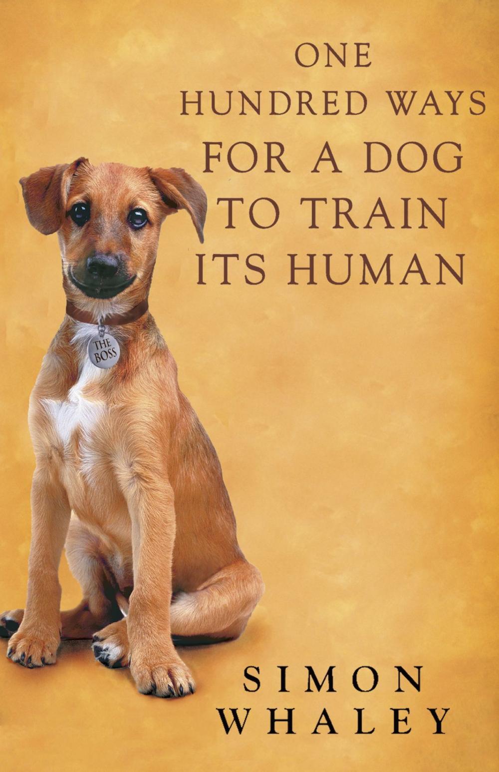 Big bigCover of One Hundred Ways for a Dog to Train Its Human