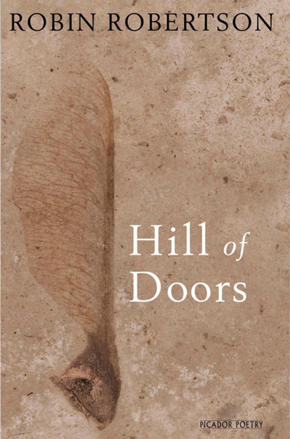 Big bigCover of Hill of Doors