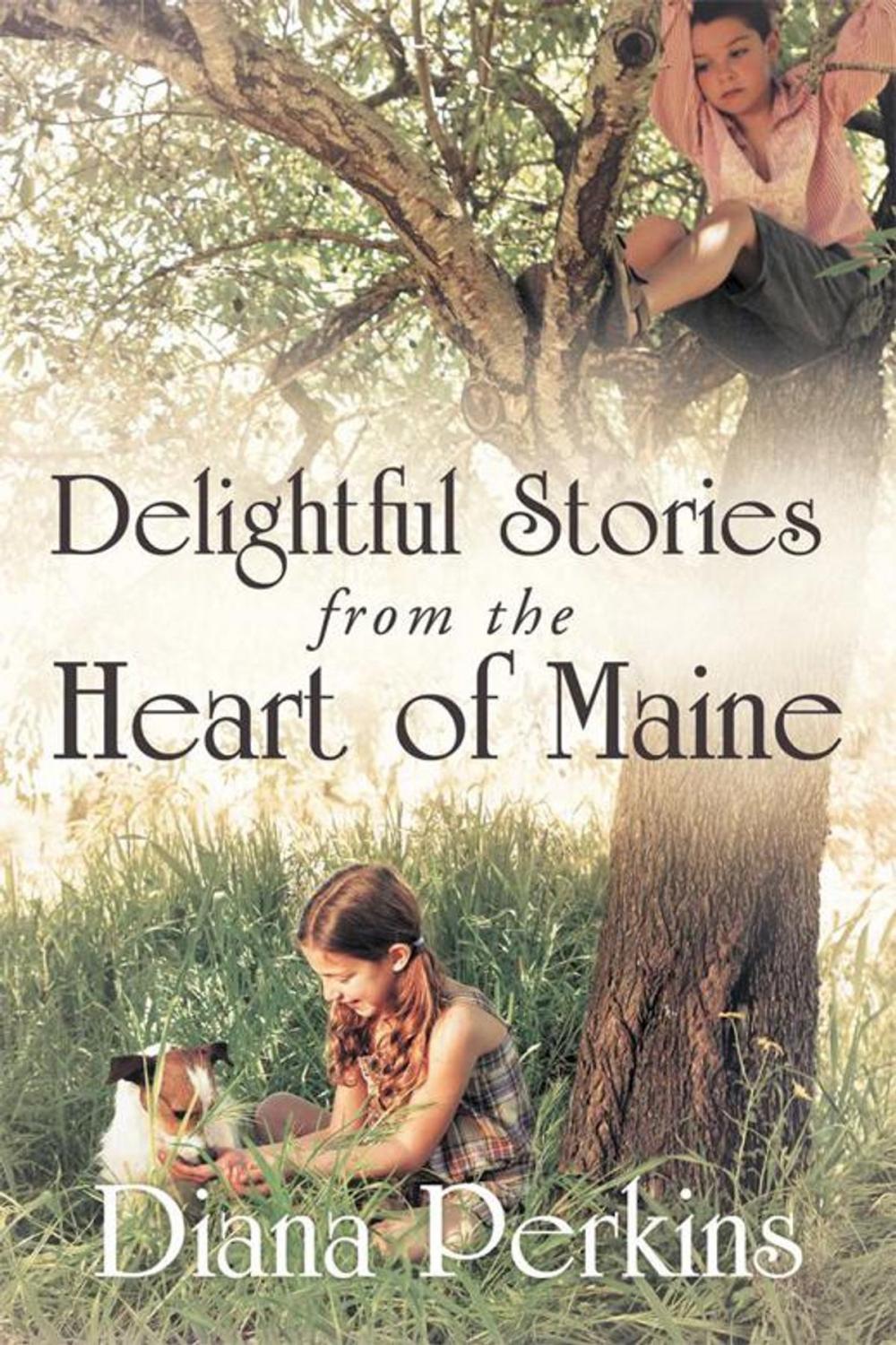 Big bigCover of Delightful Stories from the Heart of Maine