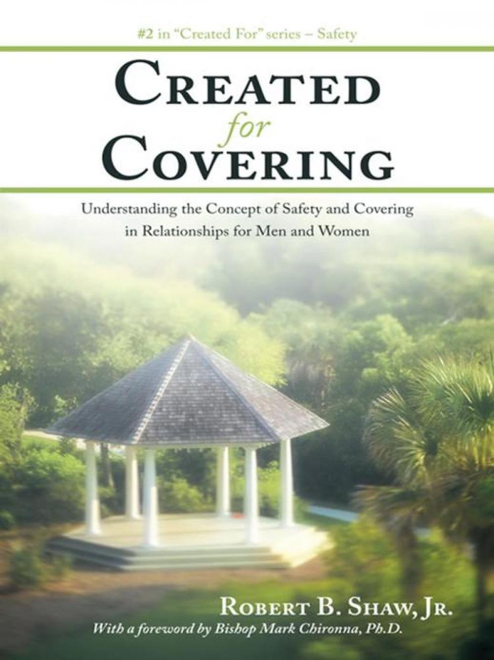 Big bigCover of Created for Covering