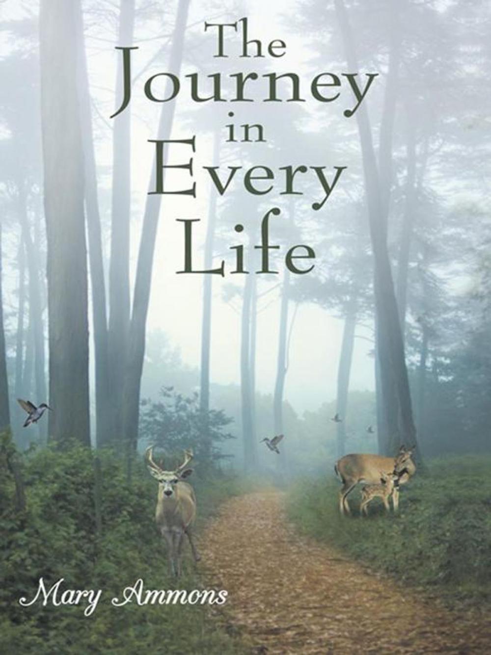 Big bigCover of The Journey in Every Life