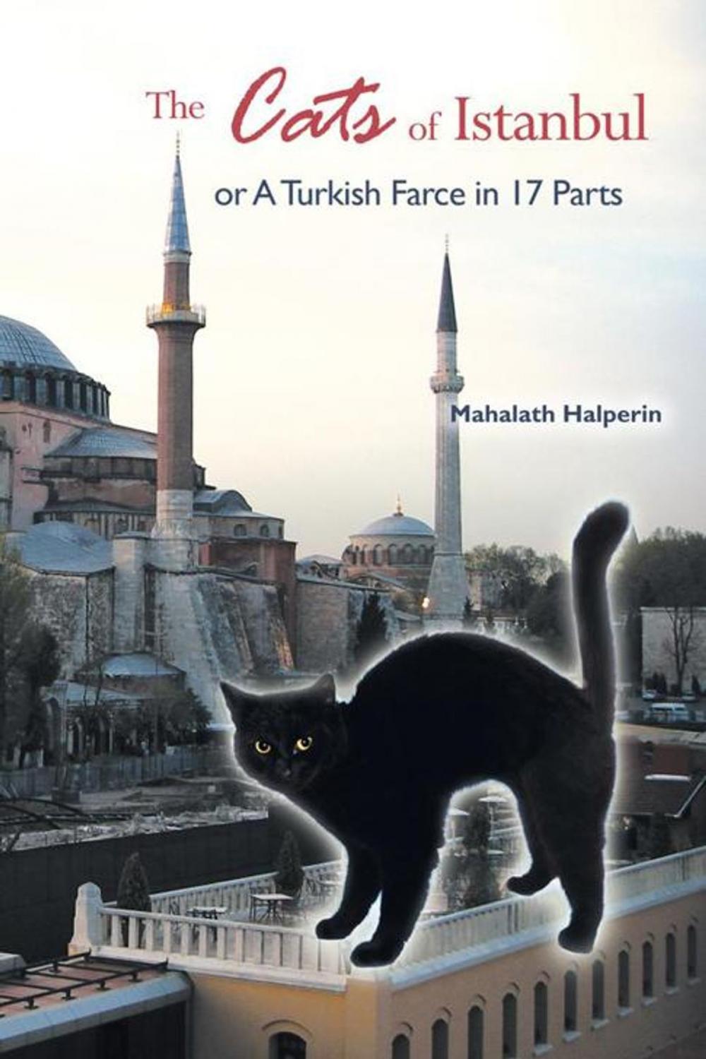 Big bigCover of The Cats of Istanbul