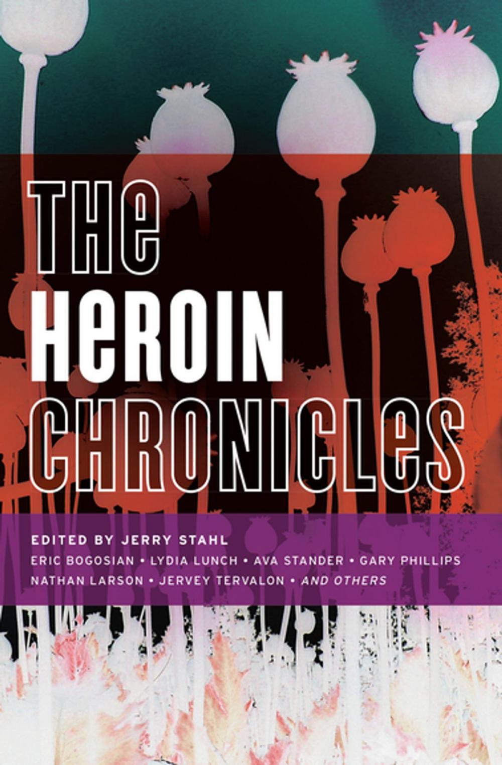 Big bigCover of The Heroin Chronicles