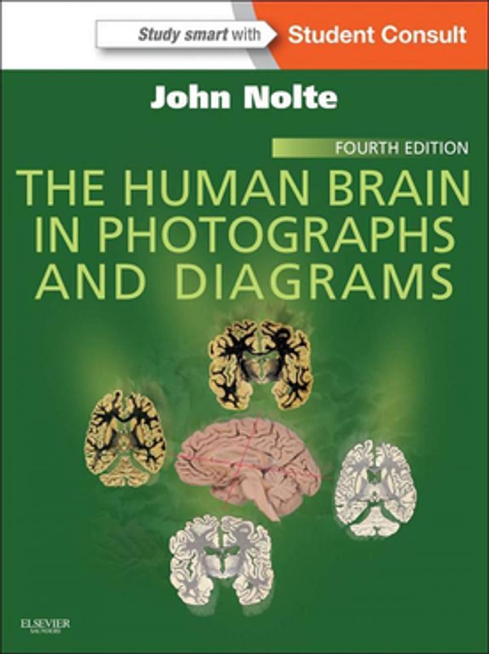 Big bigCover of The Human Brain in Photographs and Diagrams E-Book