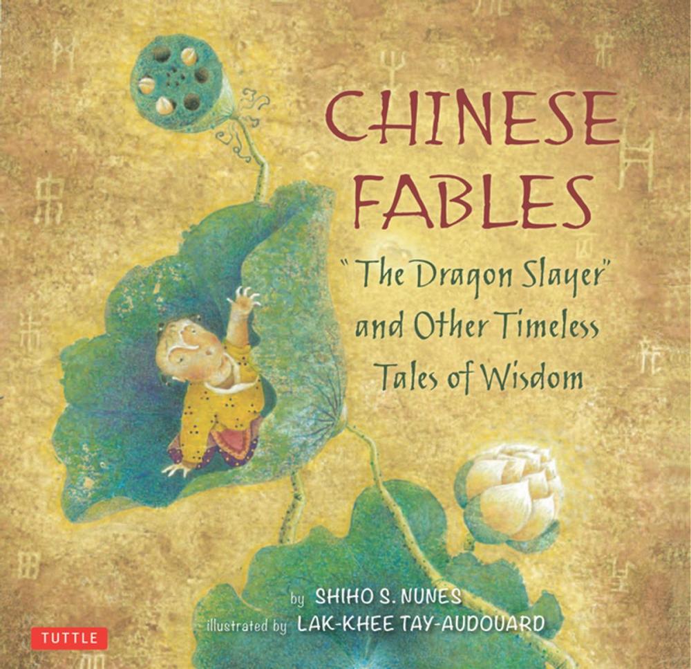 Big bigCover of Chinese Fables