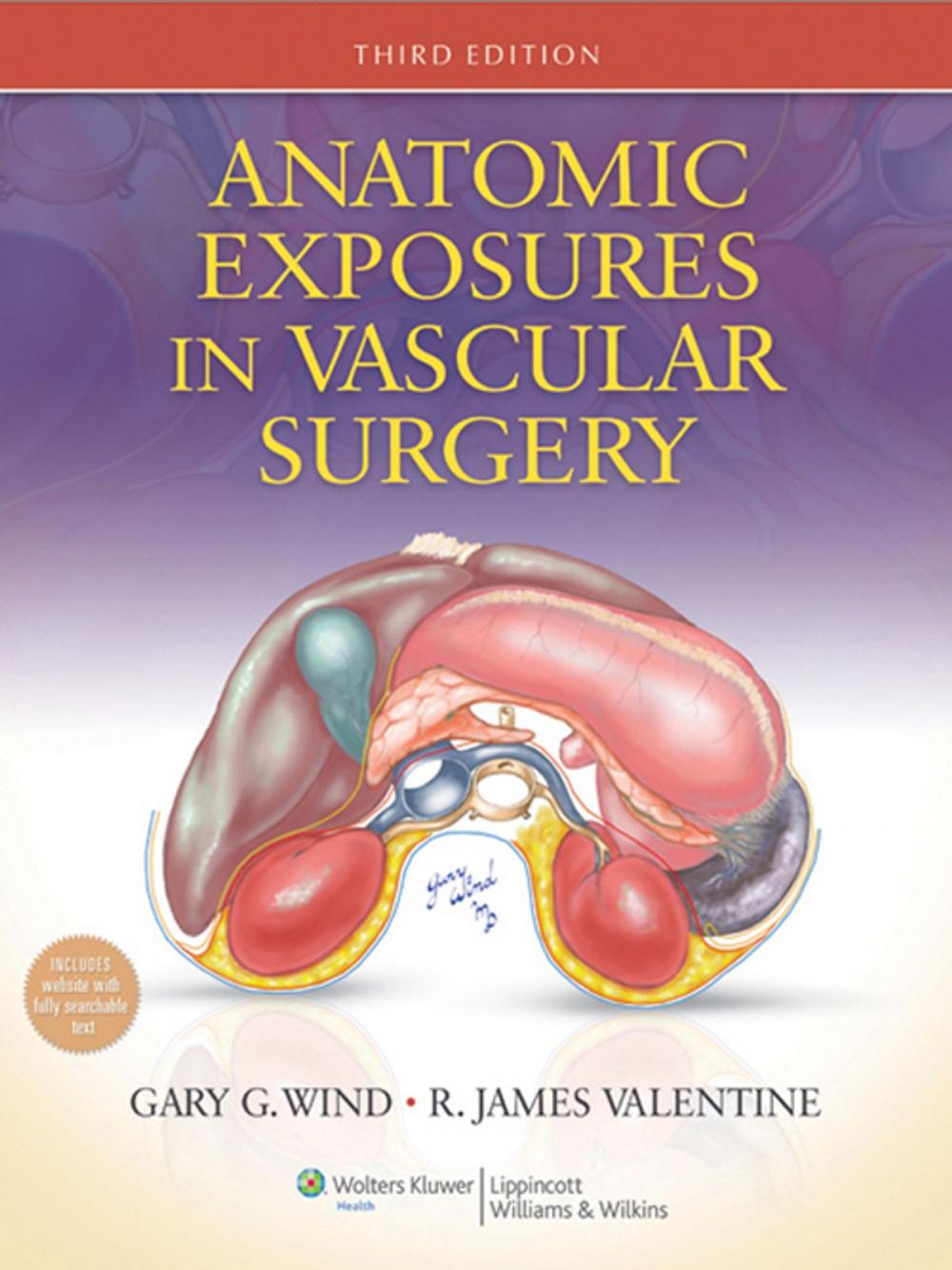 Big bigCover of Anatomic Exposures in Vascular Surgery