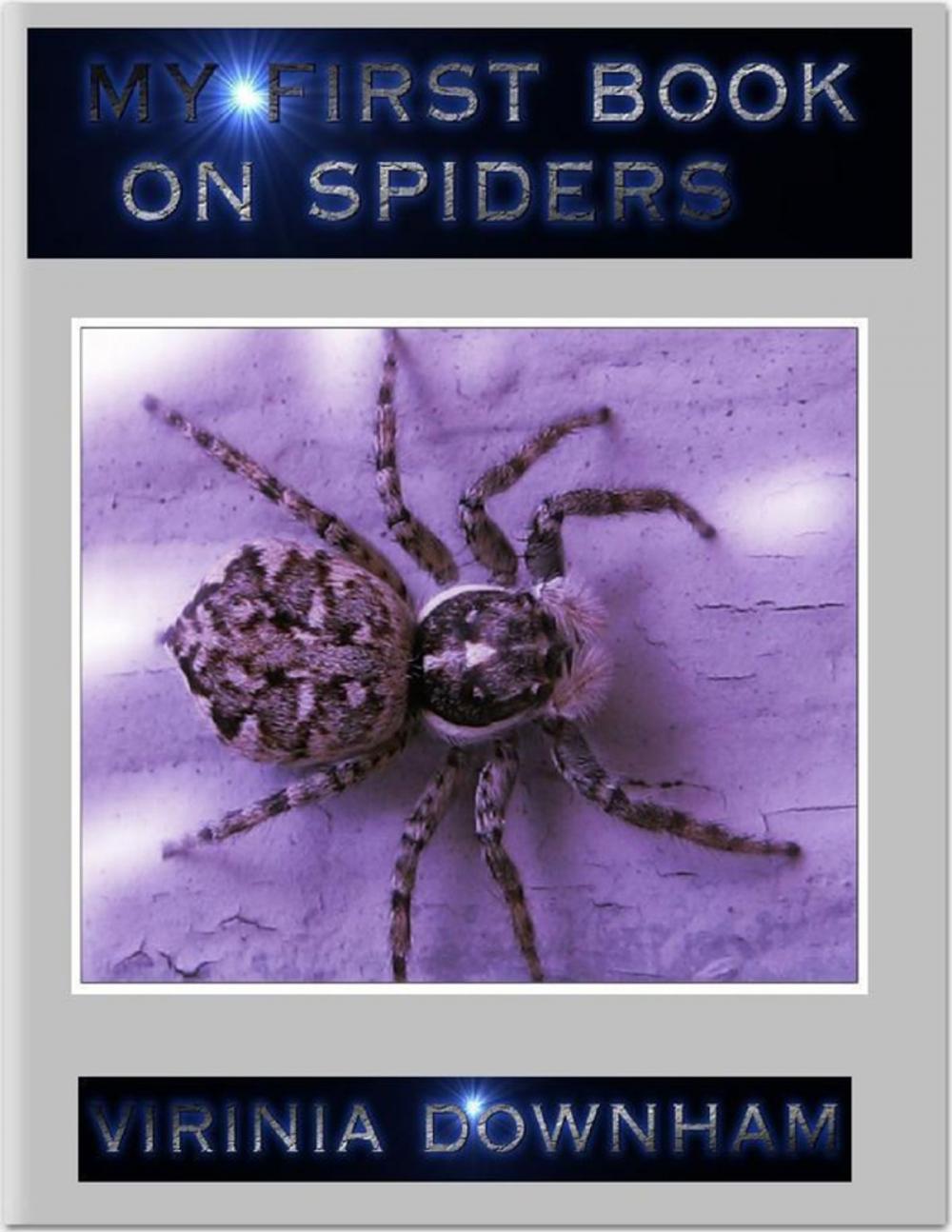 Big bigCover of My First Book On Spiders