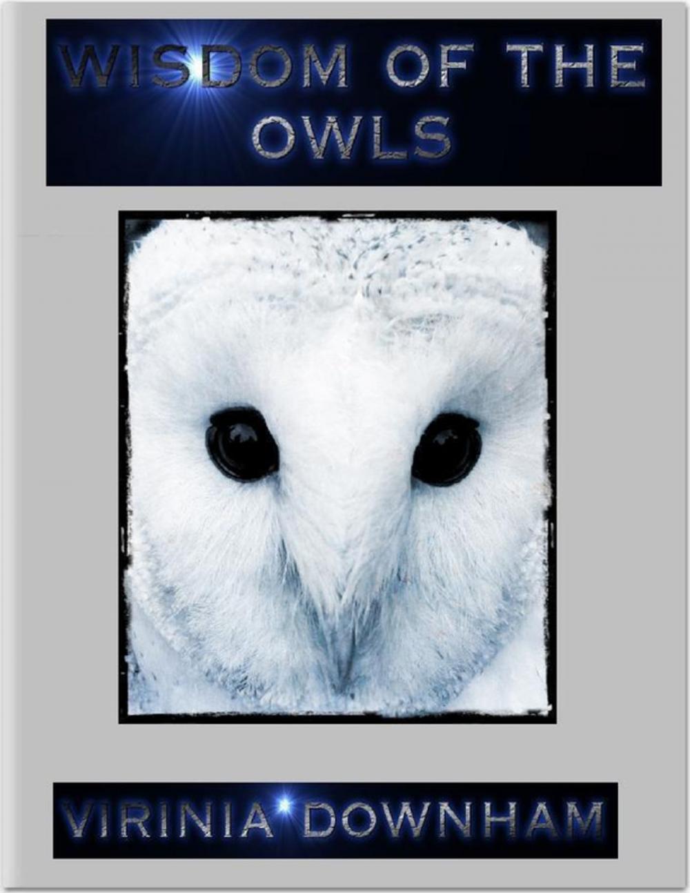 Big bigCover of Wisdom of the Owls