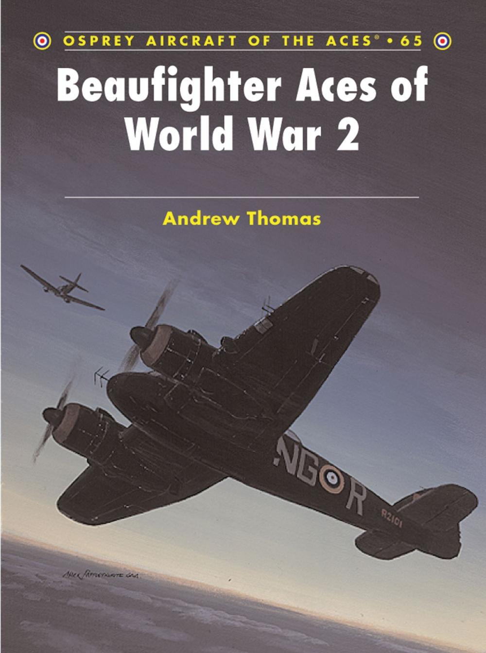 Big bigCover of Beaufighter Aces of World War 2