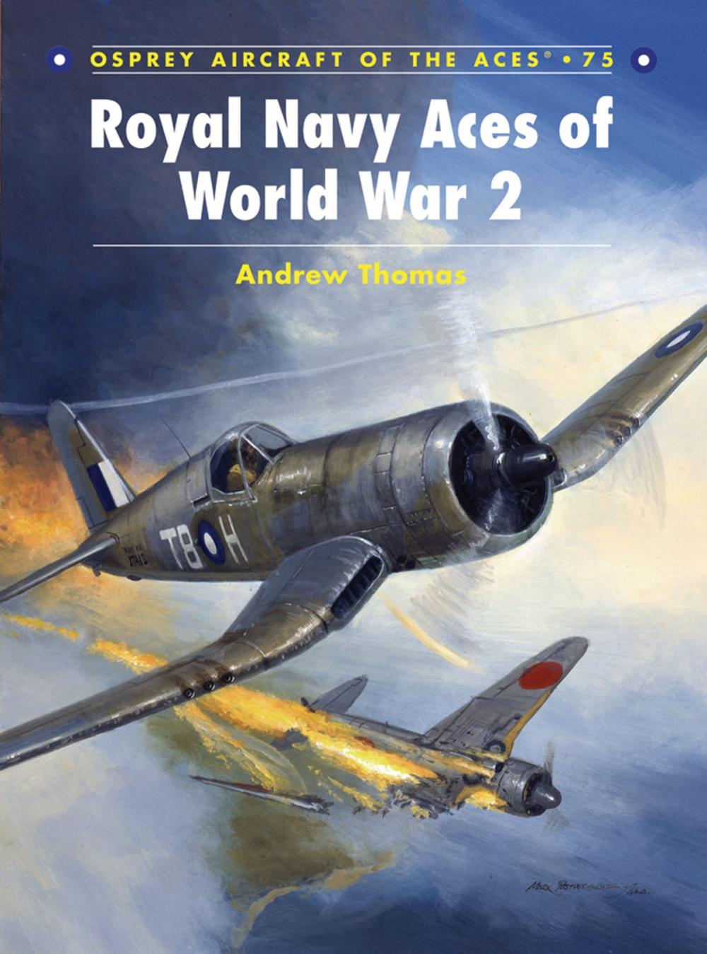 Big bigCover of Royal Navy Aces of World War 2