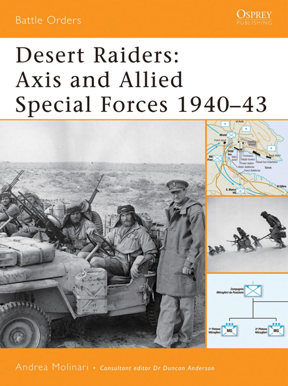 Big bigCover of Desert Raiders