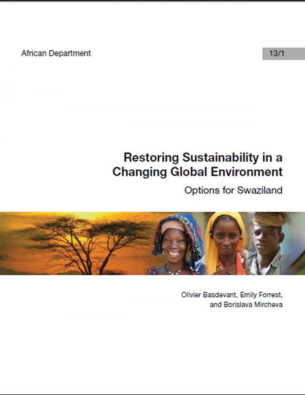 Big bigCover of Restoring Sustainability in a Changing Global Environment: Options for Swaziland