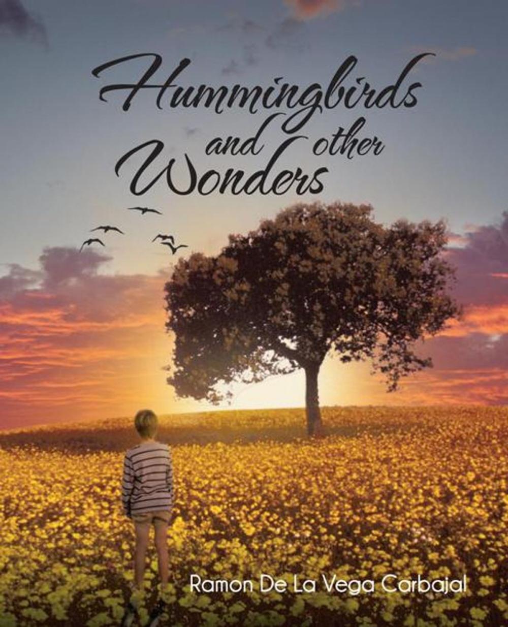 Big bigCover of Hummingbirds and Other Wonders