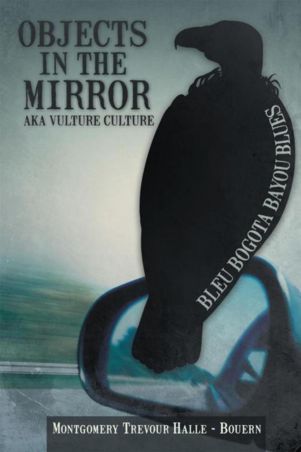 Big bigCover of Objects in the Mirror Aka Vulture Culture