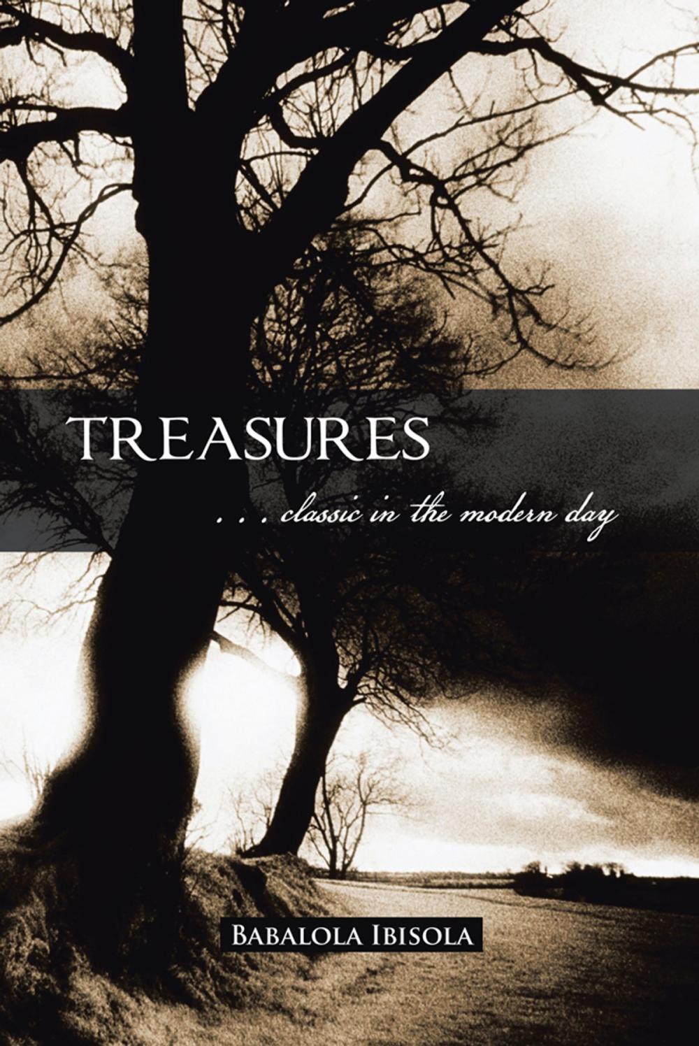 Big bigCover of Treasures