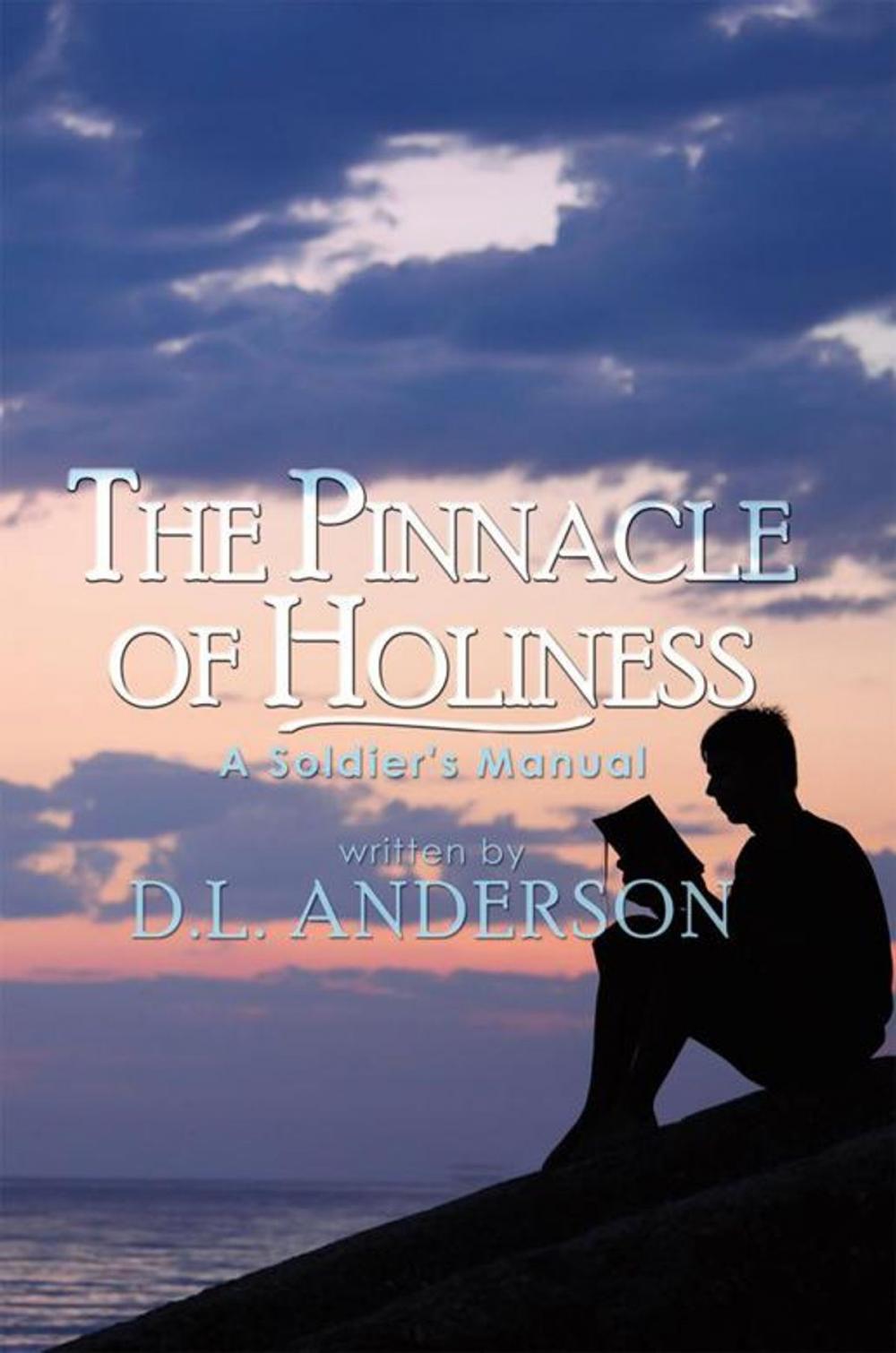 Big bigCover of The Pinnacle of Holiness