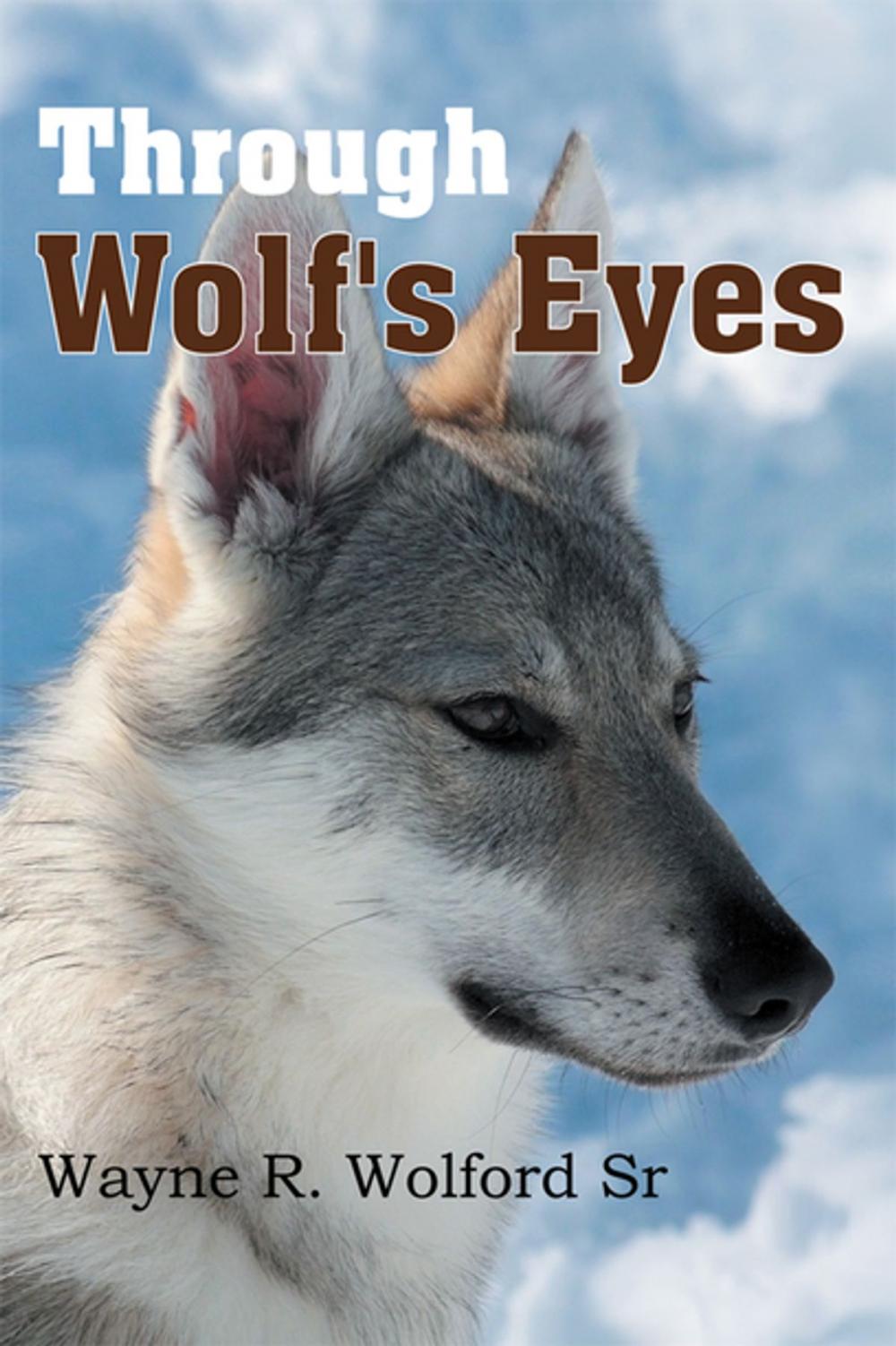 Big bigCover of Through Wolf's Eyes