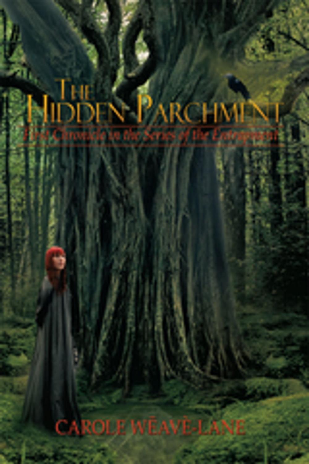 Big bigCover of The Hidden Parchment