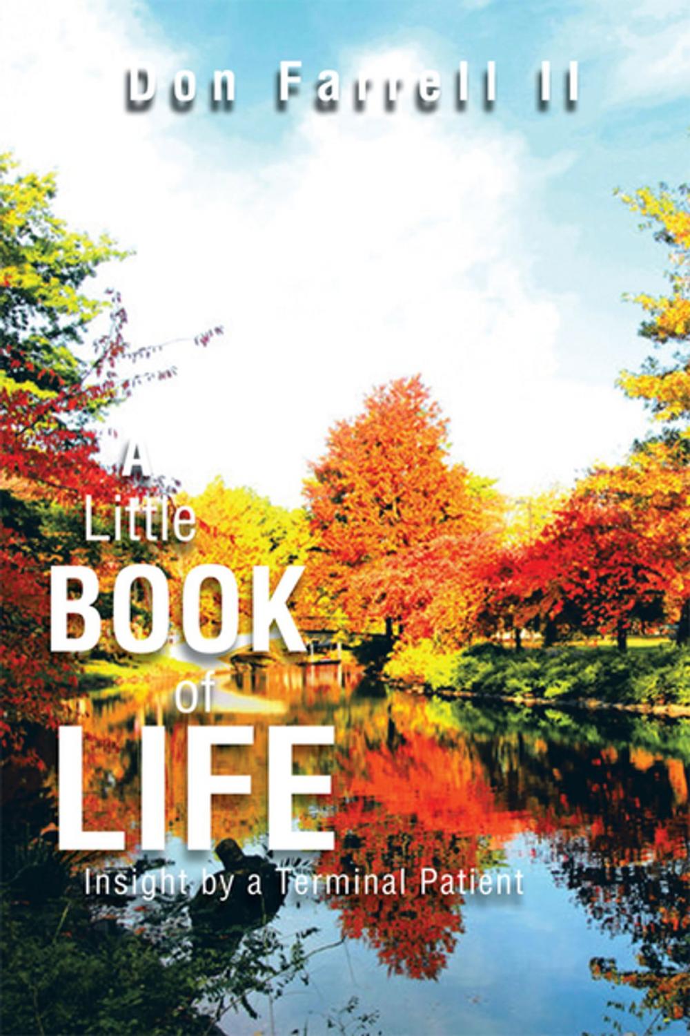 Big bigCover of A Little Book of Life