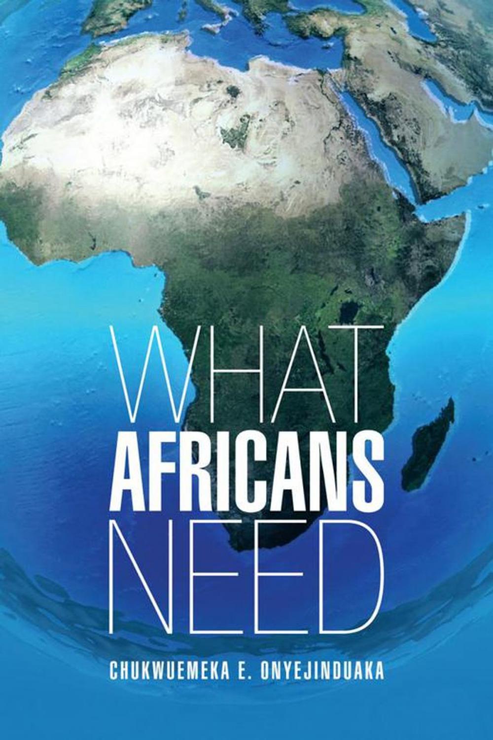 Big bigCover of What Africans Need