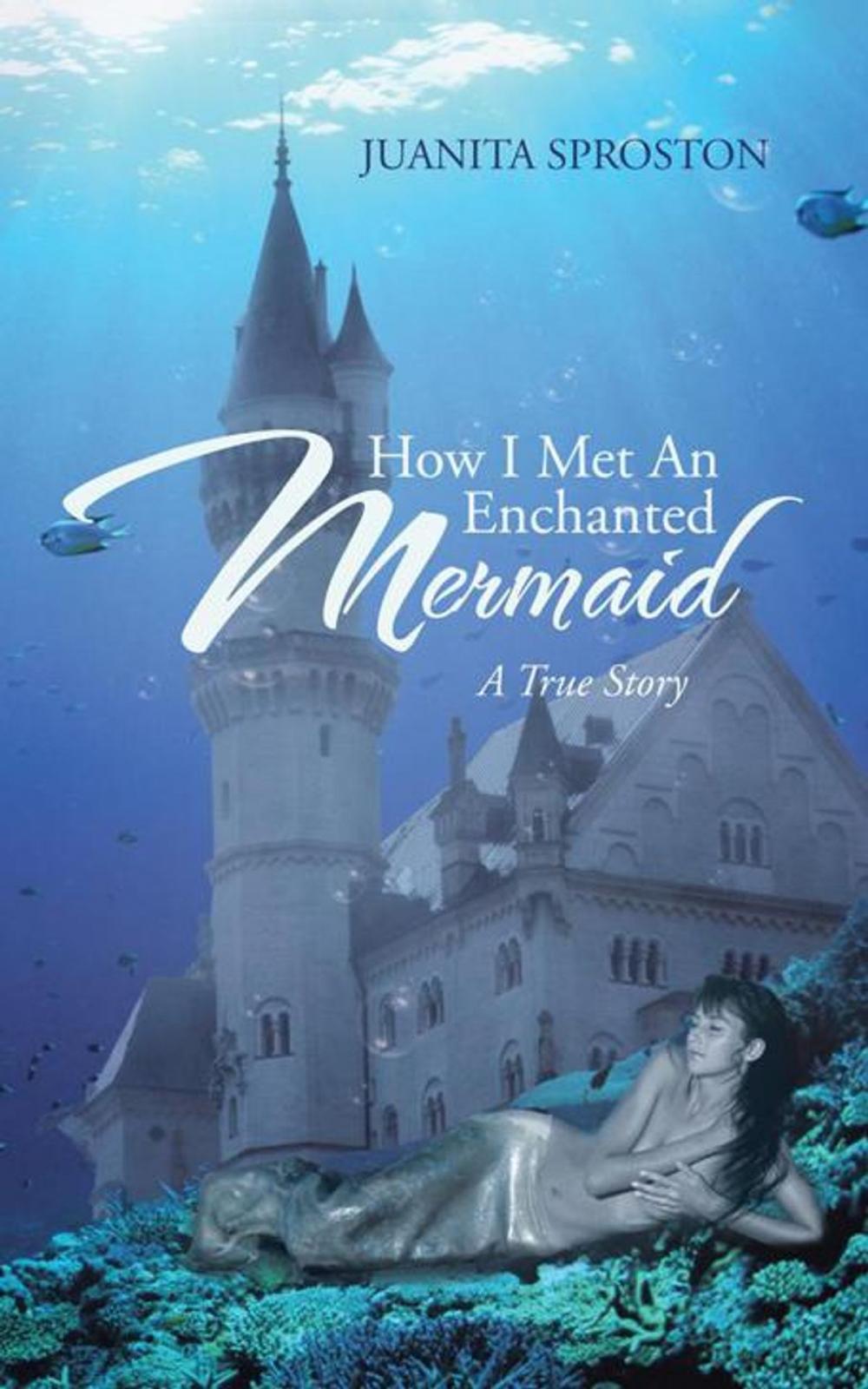 Big bigCover of How I Met an Enchanted Mermaid