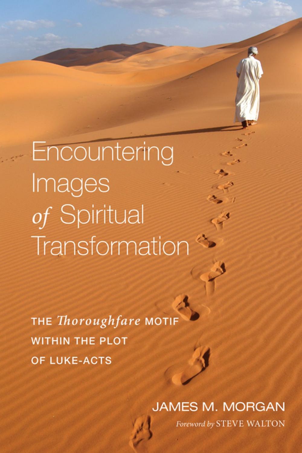 Big bigCover of Encountering Images of Spiritual Transformation